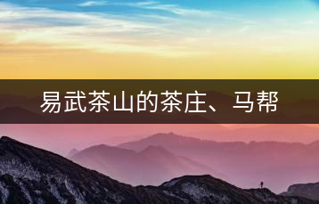 易武茶山的茶莊、馬幫