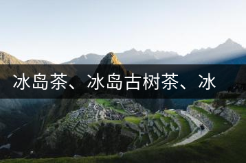 冰島茶、冰島古樹茶、冰島茶區(qū)茶、冰島茶區(qū)古樹茶