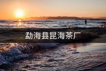 勐?？h昆海茶廠