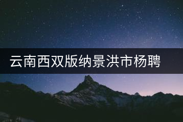 云南西雙版納景洪市楊聘號(hào)茶葉有限公司