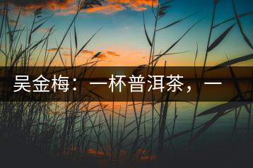 吳金梅:一杯普洱茶,一份云南情