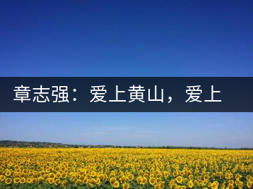 章志強(qiáng)：愛上黃山，愛上黃山的茶