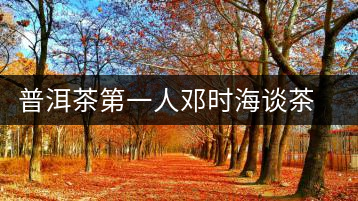 普洱茶第一人鄧時(shí)海談茶經(jīng)