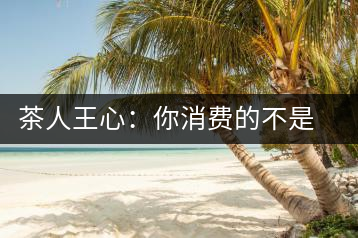 茶人王心：你消費(fèi)的不是茶，是我