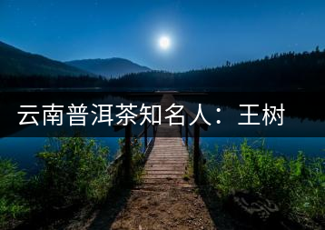 云南普洱茶知名人:王樹文