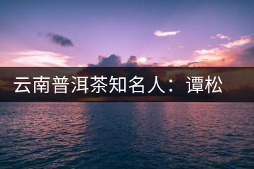 云南普洱茶知名人：譚松發(fā)