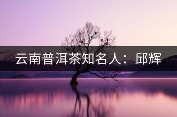 云南普洱茶知名人：邱輝