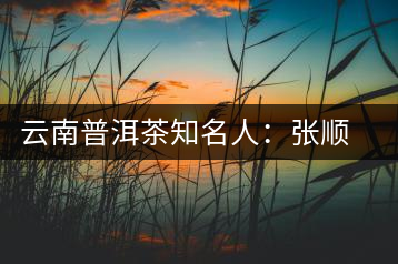 云南普洱茶知名人：張順高