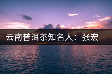 云南普洱茶知名人:張宏達