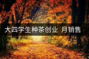 大四學(xué)生種茶創(chuàng)業(yè) 月銷售額超五十萬