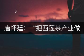 唐懷廷：“把西蓮茶產(chǎn)業(yè)做得更好”