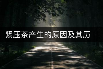 緊壓茶產生的原因及其歷史發(fā)展過程