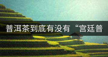 普洱茶到底有沒(méi)有“宮廷普洱”一說(shuō)？它到底是什么？