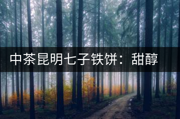 中茶昆明七子鐵餅：甜醇甘潤，陳韻綿長