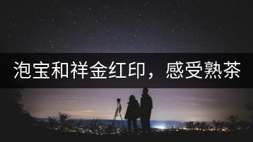 泡寶和祥金紅印，感受熟茶之美。