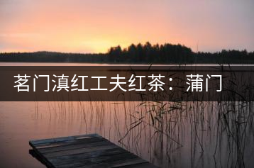茗門滇紅工夫紅茶：蒲門佳茗，伴您度秋