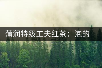 蒲潤(rùn)特級(jí)工夫紅茶：泡的方便，喝的舒適