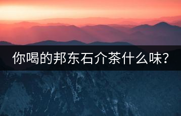 你喝的邦東石介茶什么味？