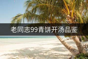 老同志99青餅開(kāi)湯品鑒