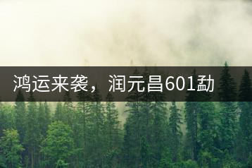 鴻運來襲，潤元昌601勐海紅韻熟茶即將上市