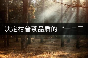 決定柑普茶品質(zhì)的“一二三四”