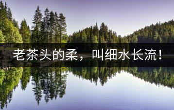 老茶頭的柔，叫細水長流！