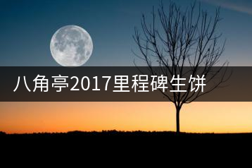 八角亭2017里程碑生餅，擁抱半個世紀的情懷