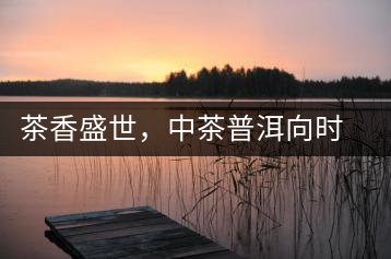 茶香盛世，中茶普洱向時代獻禮