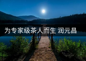 為專家級(jí)茶人而生 潤(rùn)元昌布朗金藏上市