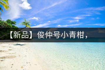 【新品】俊仲號小青柑，青果來傾城