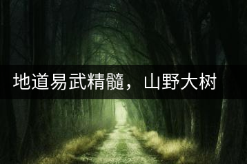 地道易武精髓，山野大樹珍品—普秀易武生態(tài)喬木圓茶即將上市