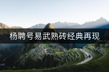 楊聘號易武熟磚經典再現(xiàn)