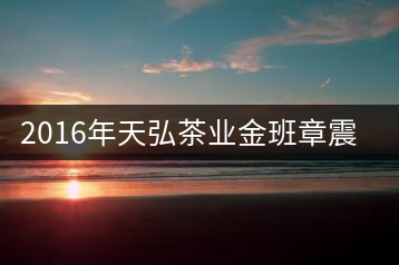 2016年天弘茶業(yè)金班章震撼上市！