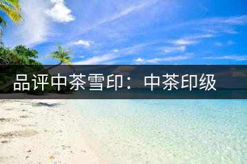 品評中茶雪?。褐胁栌〖壊璧慕?jīng)典傳承