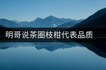 明哥說(shuō)茶圈枝柑代表品質(zhì)高點(diǎn)，是玩家級(jí)的產(chǎn)品