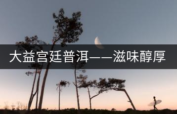 大益宮廷普洱——滋味醇厚，陳香濃郁