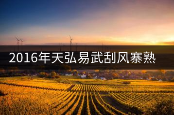 2016年天弘易武刮風(fēng)寨熟茶一泡耐人尋味！