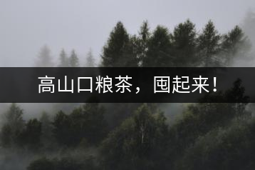 高山口糧茶，囤起來(lái)！
