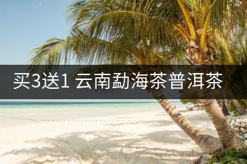 買3送1 云南勐海茶普洱茶生茶餅357g 大樹普洱云南七子餅茶葉