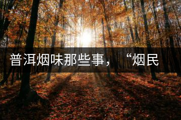 普洱煙味那些事，“煙民”不怕當(dāng)