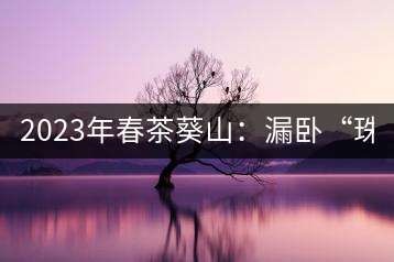 2023年春茶葵山：漏臥“珠江紅：1200元-3200元（有3個(gè)檔次）漏臥“大廠茶”：古樹(shù)單株8600-9000元／公斤，中樹(shù)4800-5200元／公斤，小樹(shù)混采2600-2800元／公斤。