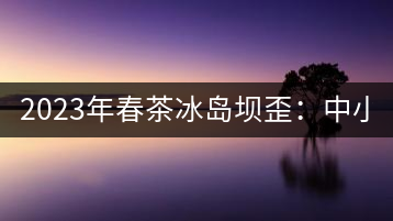 2023年春茶冰島壩歪：中小樹(shù)800元／公斤，古樹(shù)1400-1600元／公斤