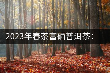 2023年春茶富硒普洱茶：1.富硒有機手工生普，市場指導(dǎo)價800元／公斤；2.富硒有機一級紅茶，市場指導(dǎo)價800元／公斤；3.富硒有機熟普餅，市場指導(dǎo)價1000元／公斤；4.富硒有機月光白茶，市場指導(dǎo)價800元／公斤。