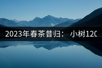2023年春茶昔歸： 小樹1200-1600元／公斤，大樹4500-5200元／公斤，古樹7500-9000元／公斤.