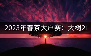 2023年春茶大戶賽：大樹200-300元／公斤，古樹800-1000元／公斤