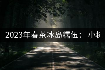 2023年春茶冰島糯伍： 小樹(shù)1300元／公斤，古樹(shù)：2100~2300元／公斤