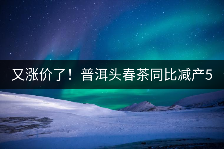 又漲價了！普洱頭春茶同比減產(chǎn)50%，薄荷塘一類鮮葉需當(dāng)面議價