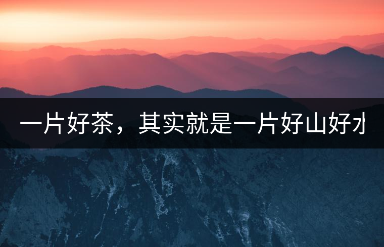 一片好茶，其實(shí)就是一片好山好水...一片好茶，其實(shí)就是一片好山好水...