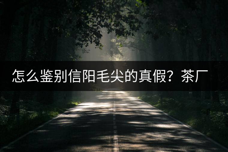 怎么鑒別信陽(yáng)毛尖的真假？茶廠(chǎng)小姐姐親自告訴你茶葉的等級(jí)