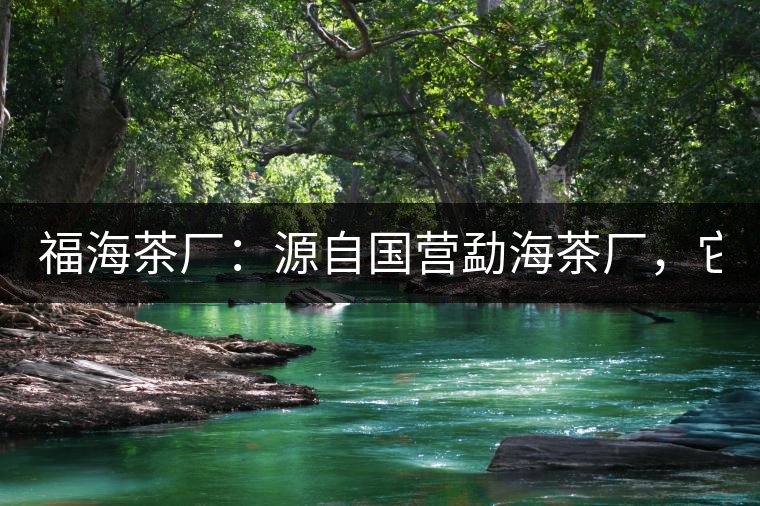 福海茶廠：源自國(guó)營(yíng)勐海茶廠，它是99易武綠星星之母